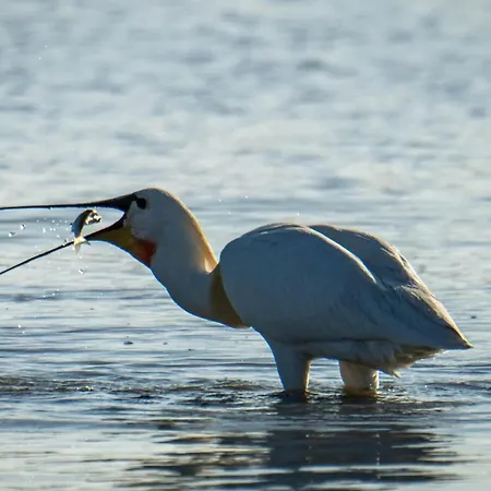Jolie Maison Proche Le Crotoy