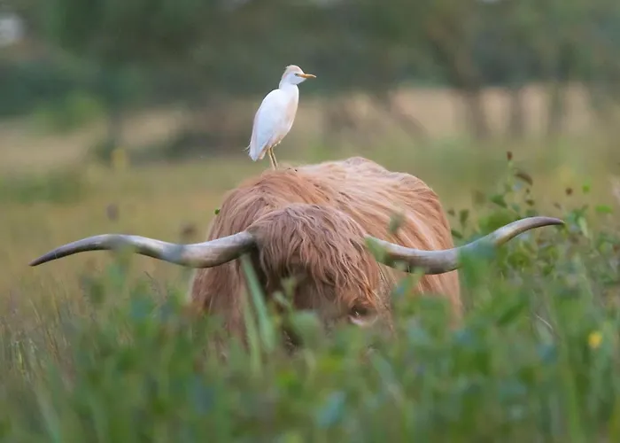 Jolie Maison Proche *