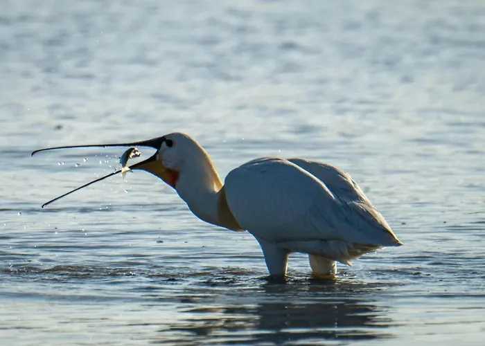Jolie Maison Proche Le Crotoy